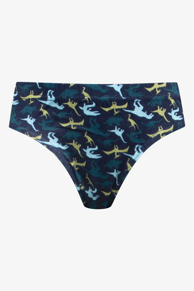 5 Pack Dino Briefs Grey, Green & Blue