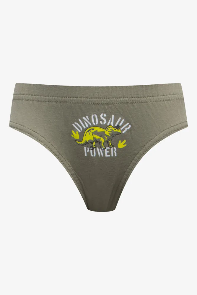 5 Pack Dino Briefs Grey, Green & Blue