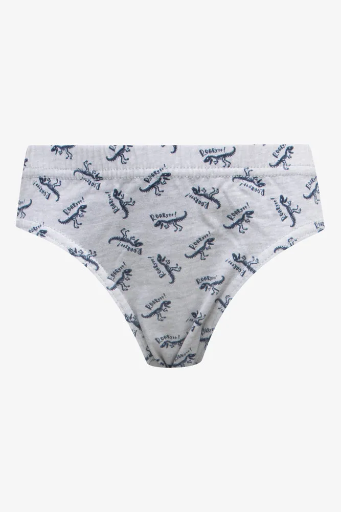 5 Pack Dino Briefs Grey, Green & Blue
