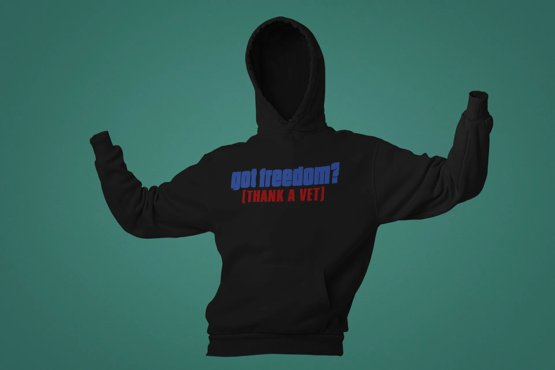 Got Freedom Thank A Vet Hoodie