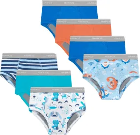 Hanes Trainer Briefs, Light Leaks Potty Training Underwear for Toddler Boys, Multipacks