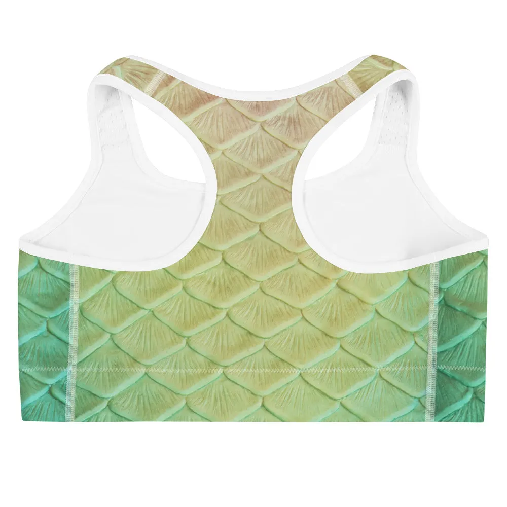 Loch Ness Sports Bra