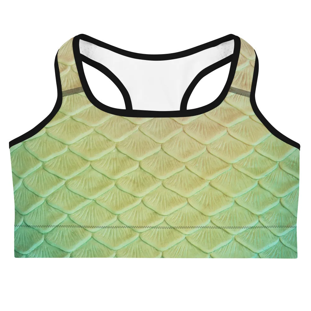 Loch Ness Sports Bra