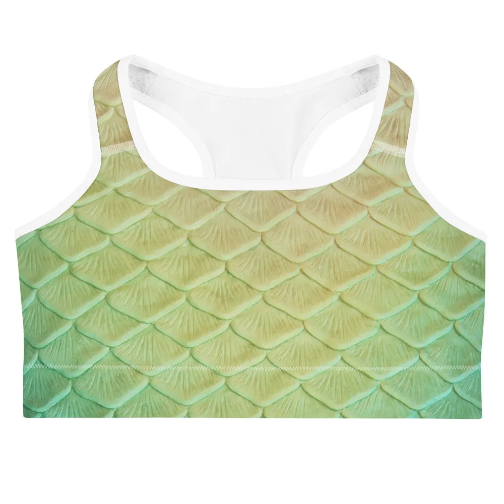 Loch Ness Sports Bra
