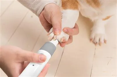 Pet Nail Grinder