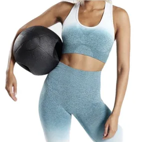 Seamless Gradient Ombre Top with Enhanced Comfort