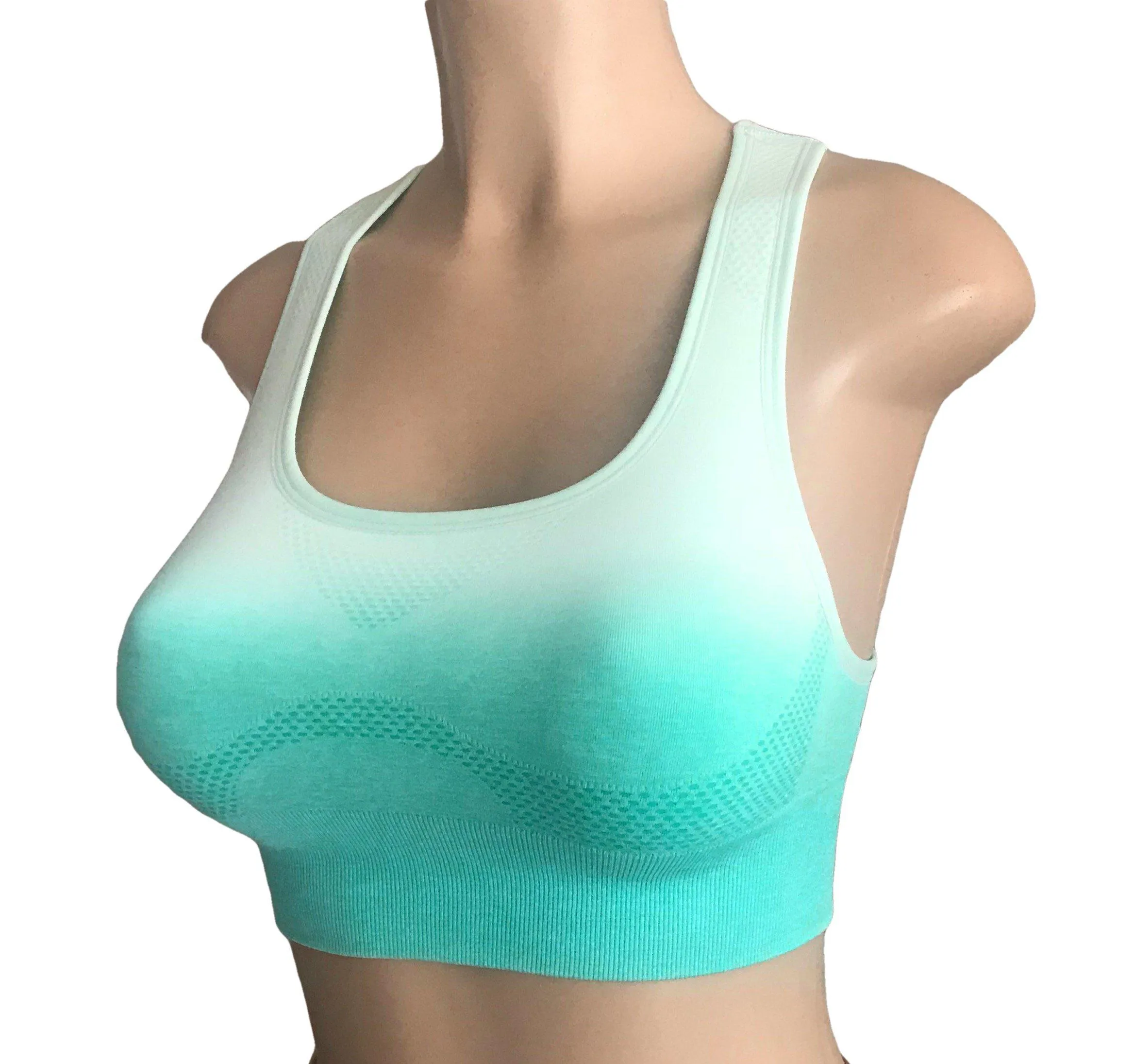 Seamless Gradient Ombre Top with Enhanced Comfort