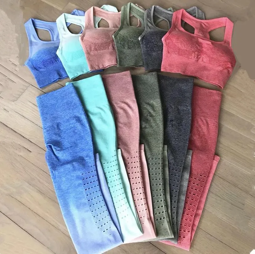 Seamless Gradient Ombre Top with Enhanced Comfort